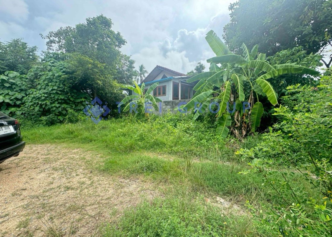 Small Land In Cozy Street Close To Bangrak Beach photo